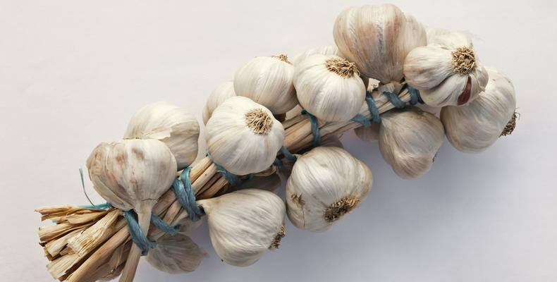 Češnjak — aroma koja oživljava jelo